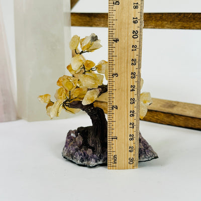 citrine tree of amethyst base next to a ruler for size reference