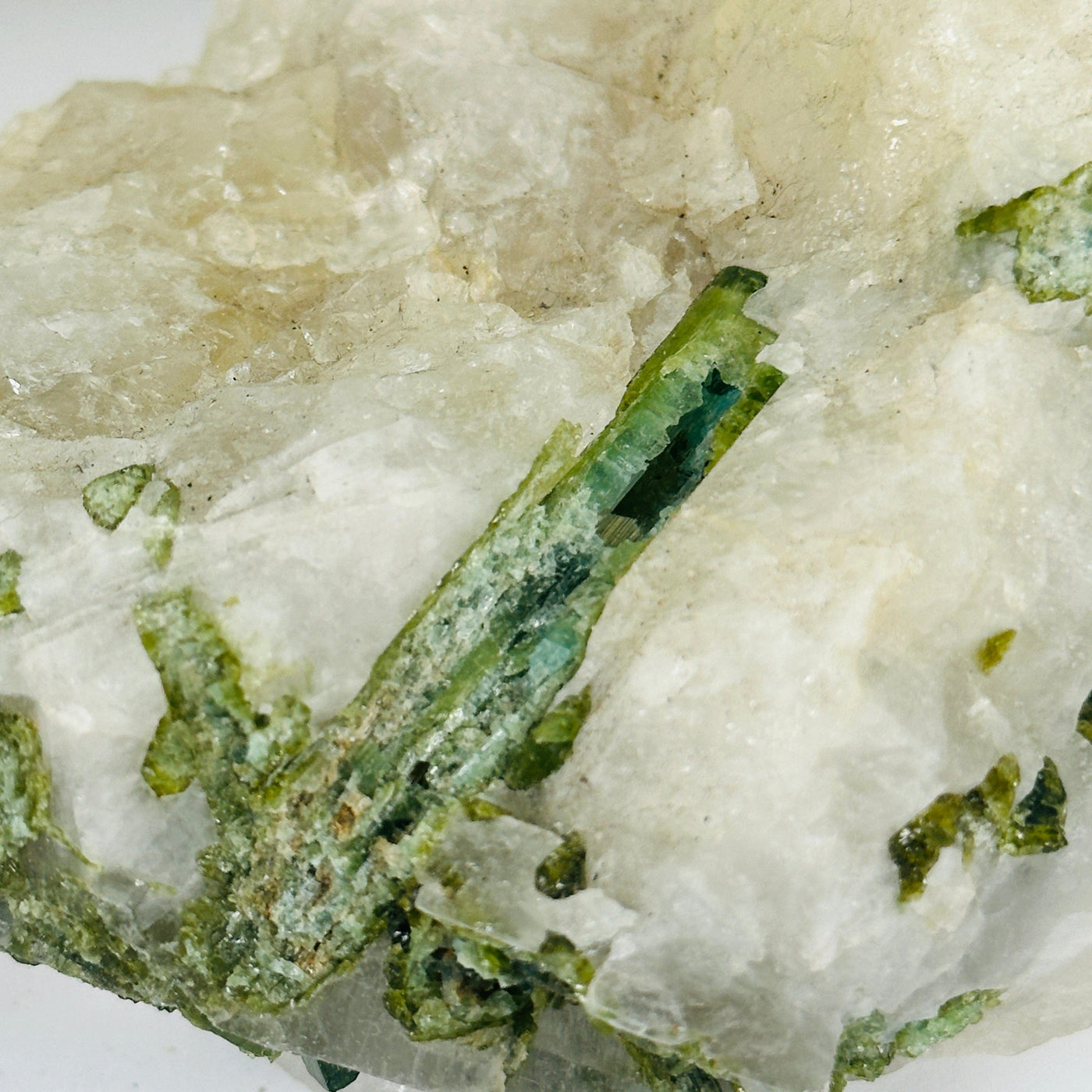 Green Tourmaline Rough Crystal on Quartz Matrix - One-of-a-Kind closeup for detail