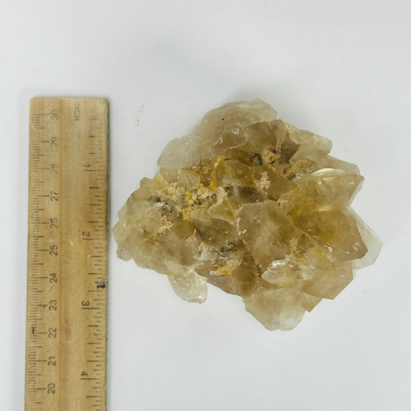 citrine cluster next to a ruler for size reference