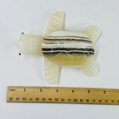 Mexican onyx turtle next to a ruler for size reference