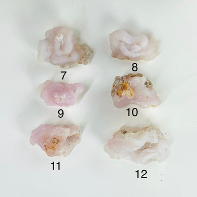 pink chalcedony rosettes on white background