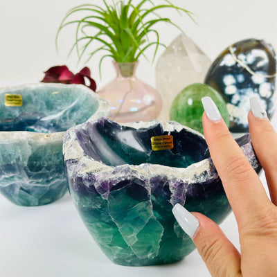 Fluorite Semi Polished Crystal Bowl with Rough Rim - You Choose variant 2 with hand for size reference with other variant in the background