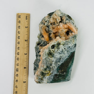 peach stilbite with apophyllite cut base next to a ruler for size reference