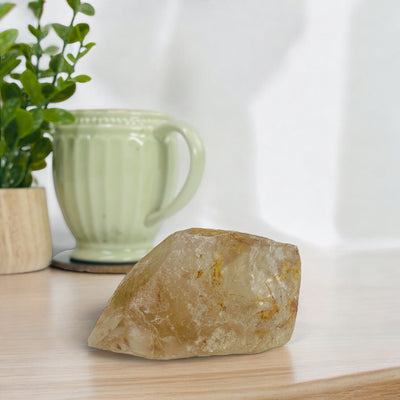 Smoky Citrine Alligator Quartz Crystal front view on a lightwood table with a plant and a mug in the background.