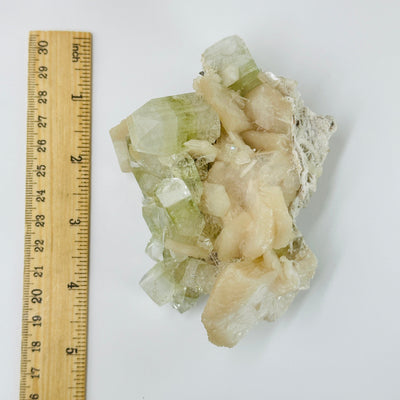 apophyllite cluster next to a ruler for size reference