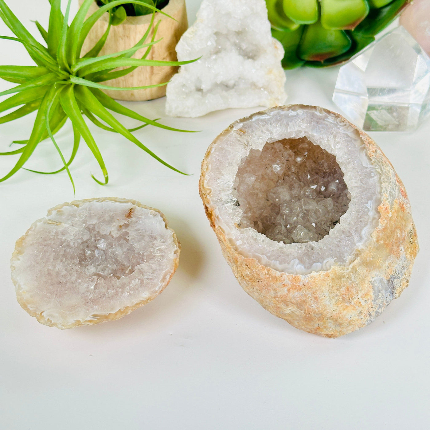  Agate Natural Geode Druzy Crystal Box with Lid - One-of-a-Kind front view with props and plants in the background