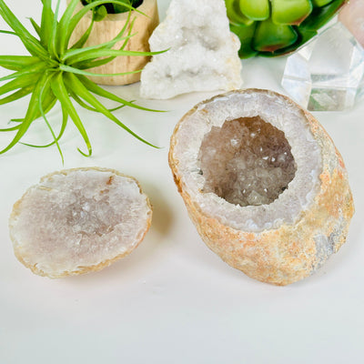  Agate Natural Geode Druzy Crystal Box with Lid - One-of-a-Kind front view with props and plants in the background