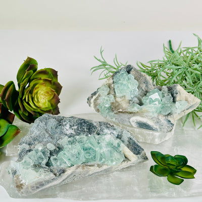 Water-Clear Green Cubic Fluorite on Crystal Quartz Druzy from China - Rare Find - You Choose both variants front view with props and plants in the background
