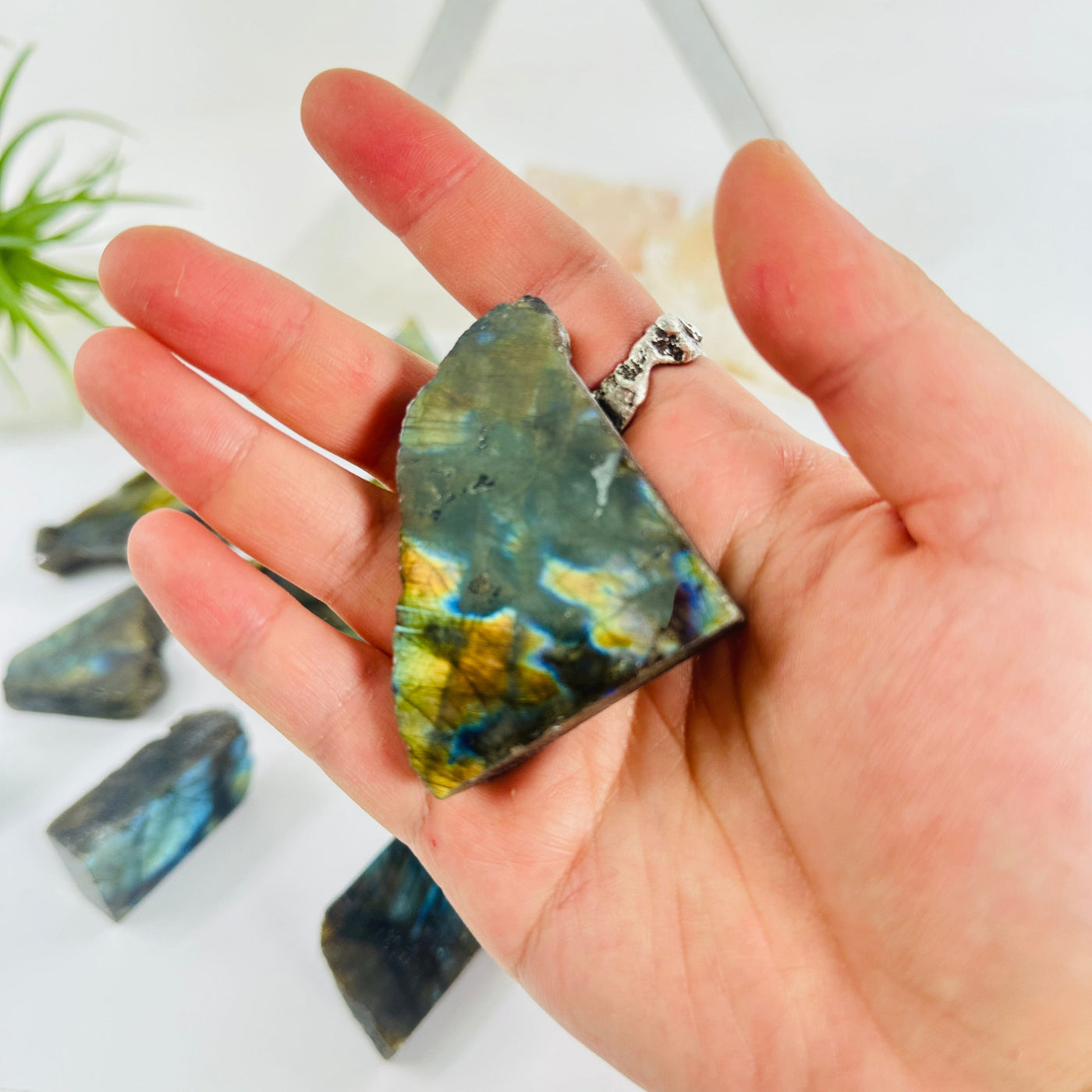Labradorite Semi Polished Crystal Slab - YOU CHOOSE - variant A in hand for size reference