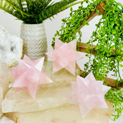 Rose Quartz Merkaba - You Choose all variants on quartz platters with props and plants in background