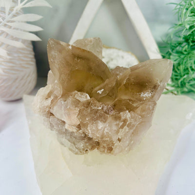 Smokey Quartz Cluster - Natural Raw Crystal Cluster front view