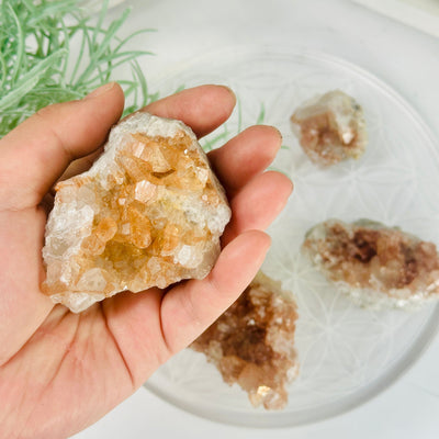 Tangerine Quartz Cluster - Crystal Cluster - YOU CHOOSE variant 3 in hand for size reference with other variants in background