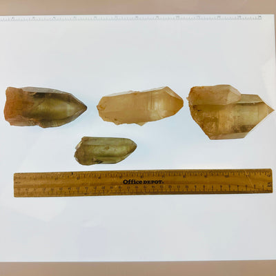 Lemurian Tangerine Quartz Point - You Choose all four variants next to ruler for size reference