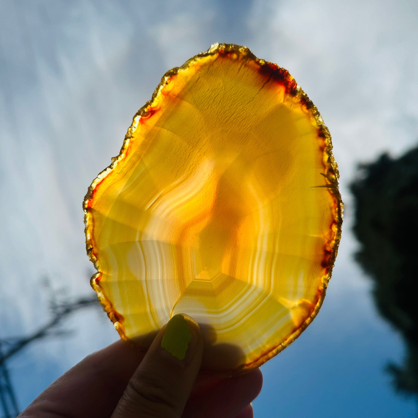 Iris Agate Slice Set - Six Agate Crystal Slices slice 2 in hand in front of sun backlit