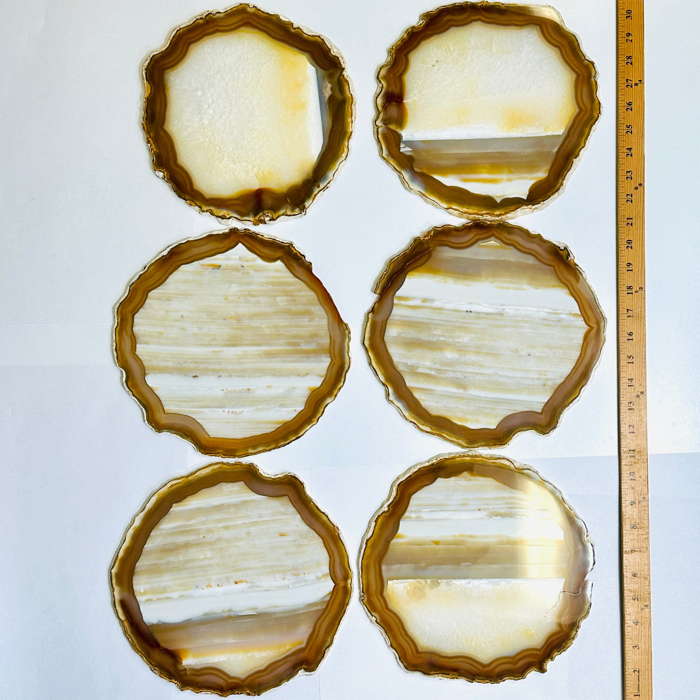 Agate Slice Set - Set of Six Large Grade AA Agate Crystals all agate slices next to yard stick for size reference