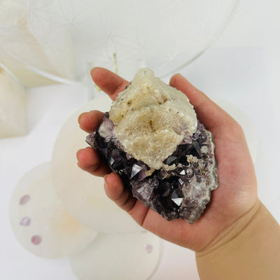  Raw Amethyst Cluster with Calcite - deep purple amethyst in hand for size reference