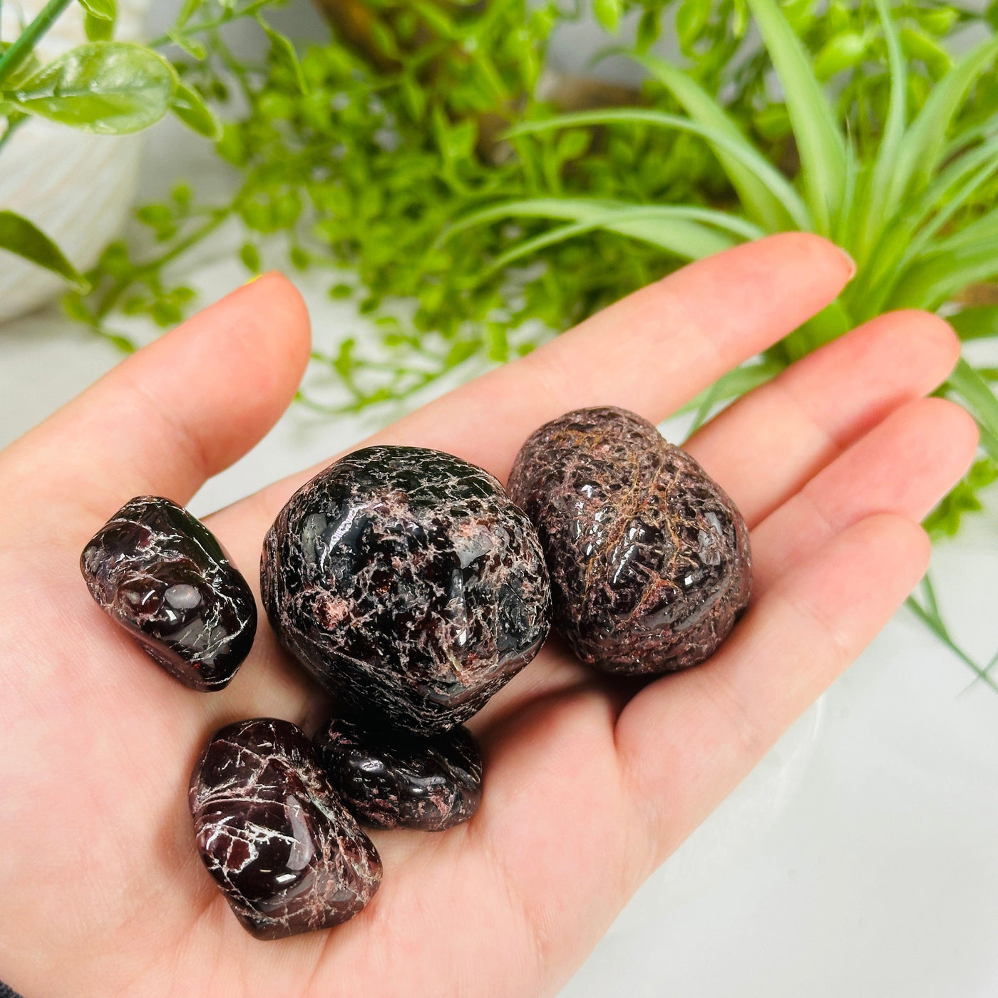 Garnet 1/2 lb bag Tumbled Nuggets - Mixed Sizes - Deep Red Rough Stones in hand for size reference