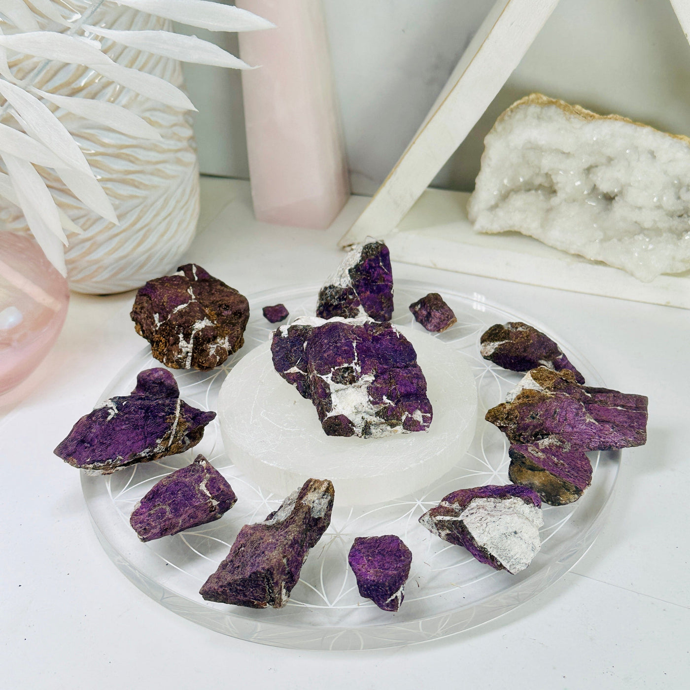  Purpurite Crystal - Rough Stone - YOU GET ALL all purpurite rocks on circular stands