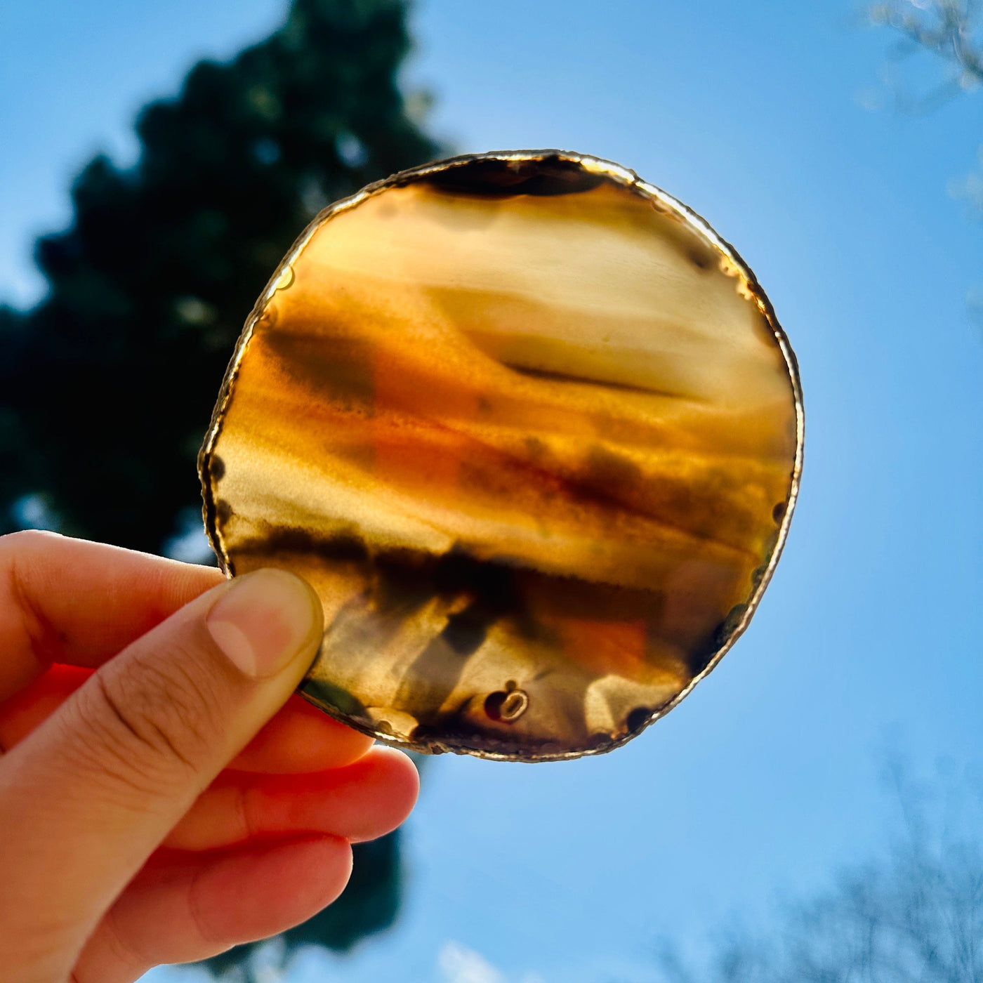  Agate Slice Set - Set of Two Agate Crystal Coasters agate 1 in hand in front of sun backlit
