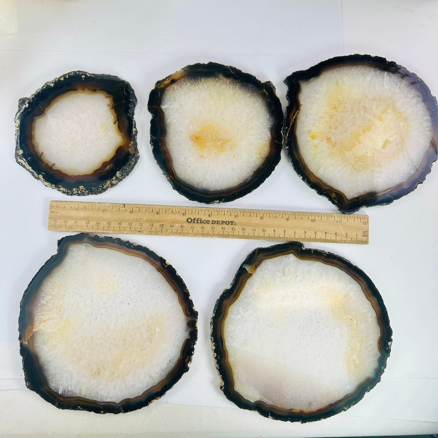 Agate Slice Set - Set of Five Agate Crystals all agate slices with ruler for size reference