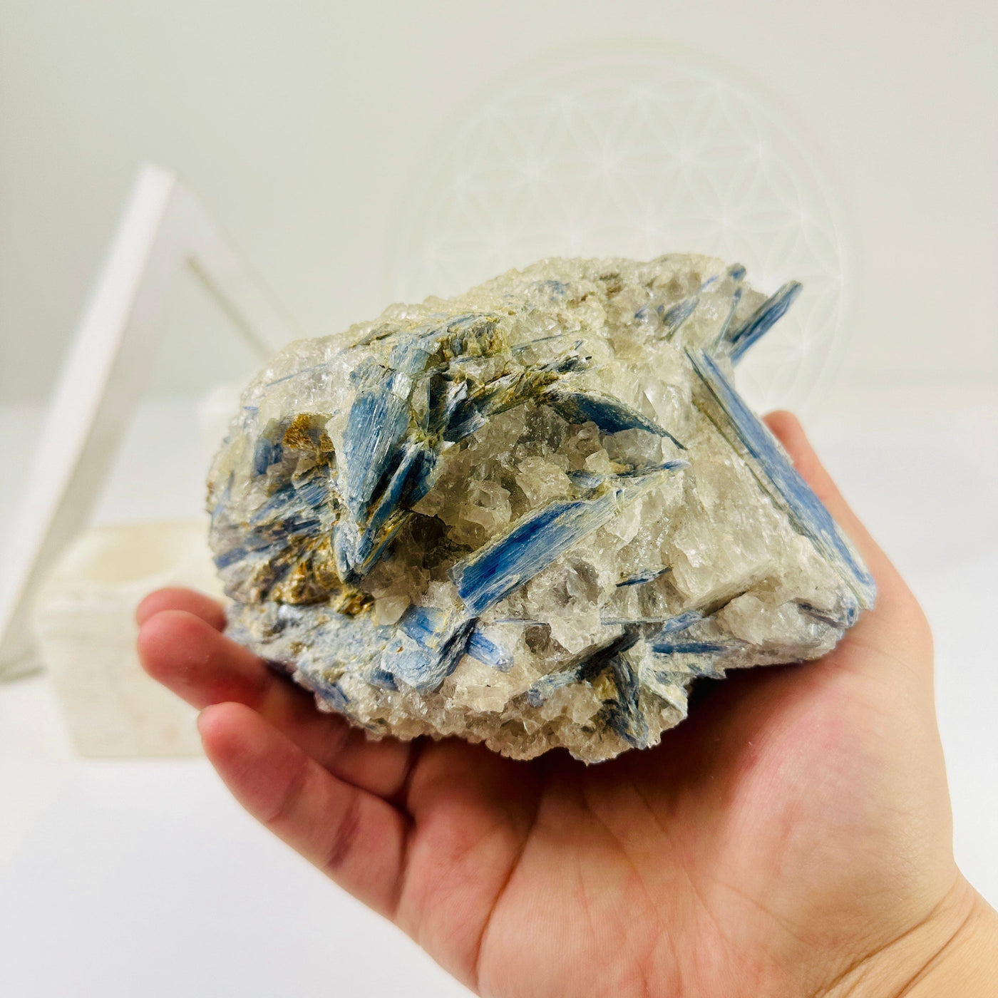 Blue Kyanite Rough Crystal Formation in hand for size reference