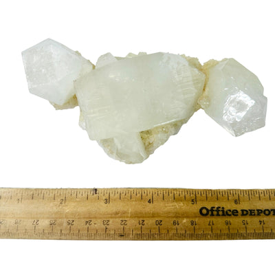 Apophyllite - Large Crystals - Rare Find with ruler for size reference