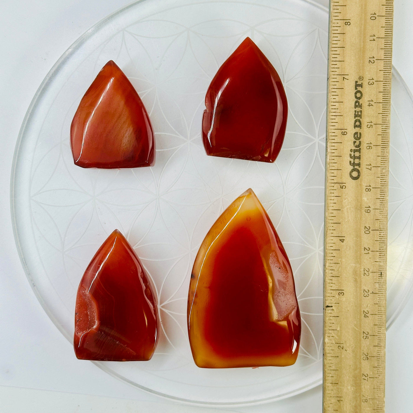 Carnelian Polished Cut Base - You Choose all 4 variants with ruler for size reference