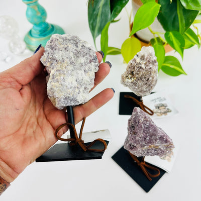 Lepidolite on Metal Stand in a hand for size reference