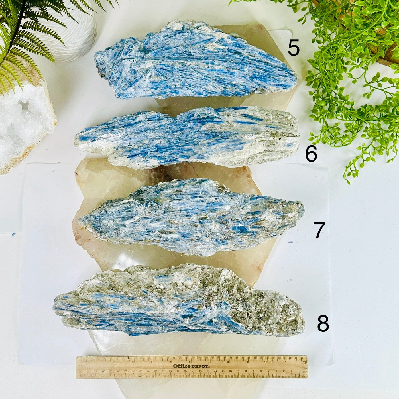 Blue Kyanite on Matrix - Rough Crystal - YOU CHOOSE variants 5, 6, 7, 8 labeled top view with ruler for size reference