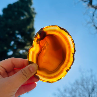 Agate Slice Set - Set of Eight Agate Crystal Coasters coaster 3 in front of sun backlit