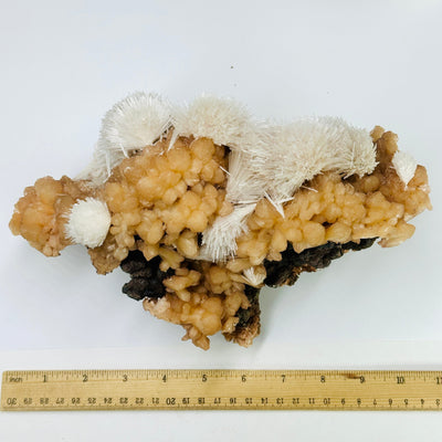 Scolecite on Peach Stilbite - High Quality Crystal Specimen - Museum Quality - top view with ruler for size reference