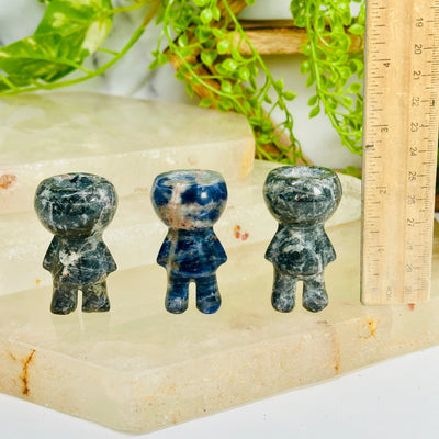 Sodalite Plant Holder Person - Carved Gemstone Figure - You Choose all variants with ruler for size reference