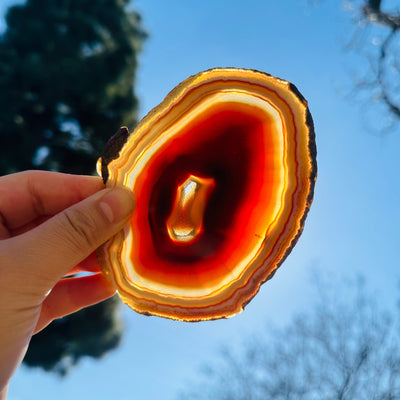 Agate Slice Set - Set of Eight Agate Crystal Coasters coaster 7 in front of sun backlit