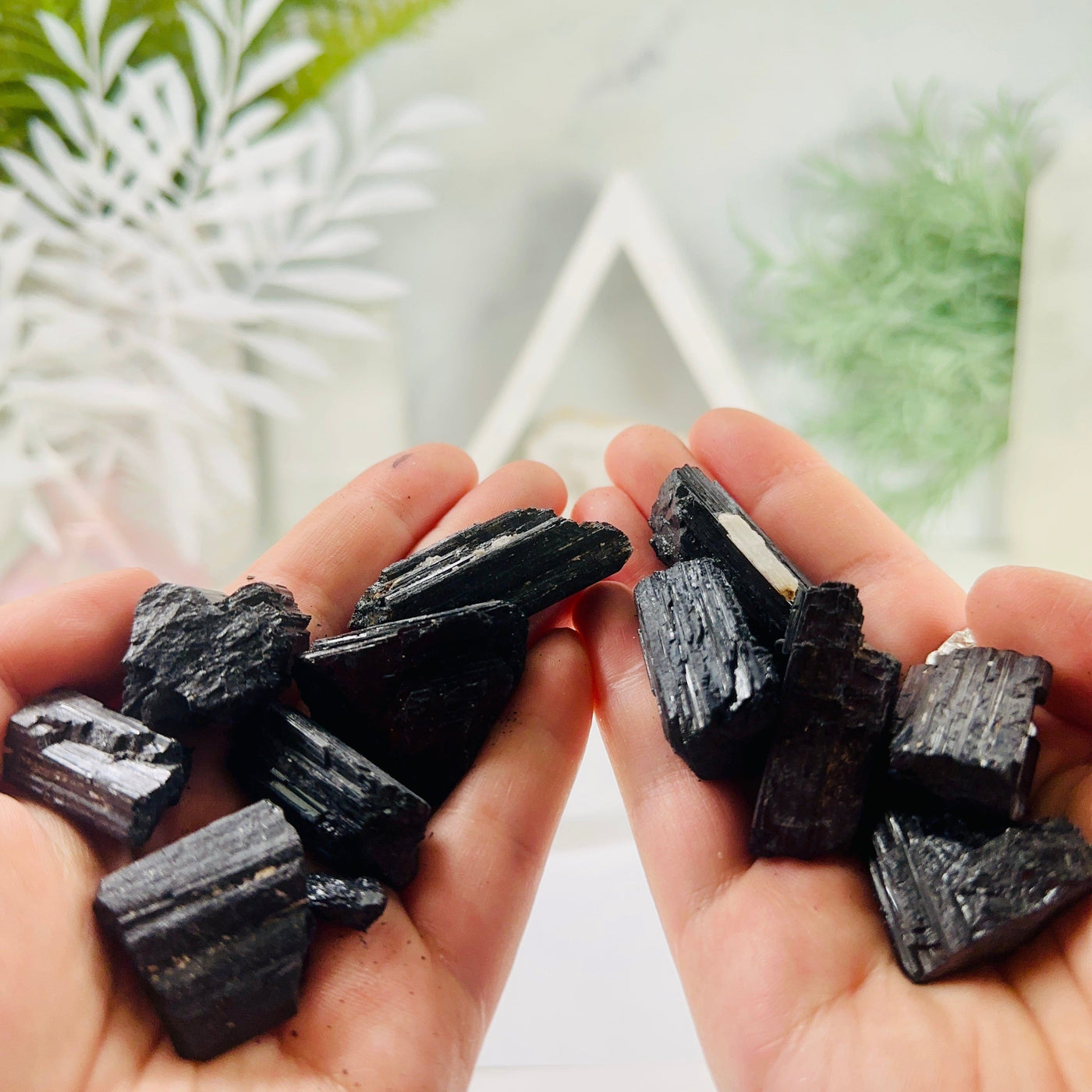 Black Tourmaline - Natural Rough Crystals - You Get All - in hand for size reference