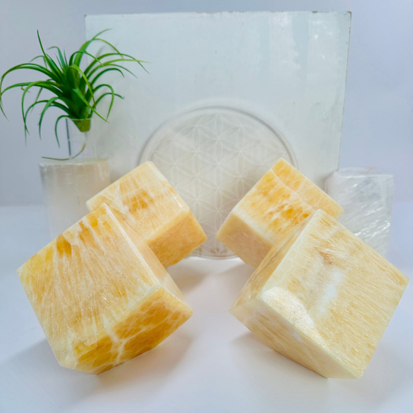 Light Yellow Mexican Onyx Polished Faceted Cube - You Choose - all four variants