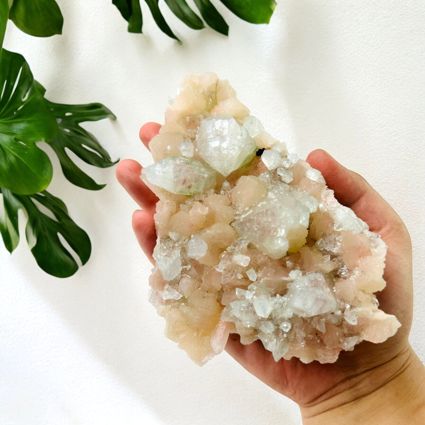 Peach Stilbite with Green Apophyllite - Zeolite Crystal Formation in hand for size reference with plants in the background