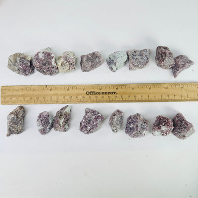 Lepidolite Chunks - Rough Stone - Natural Crystal - You Get All top view with ruler for size reference