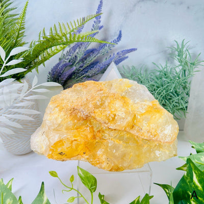 Golden Healer Large Raw Crystal - You Choose variant A labeled