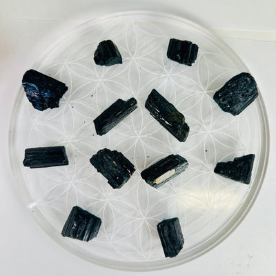 Black Tourmaline - Natural Rough Crystals - You Get All arranged on flower of life platter top view