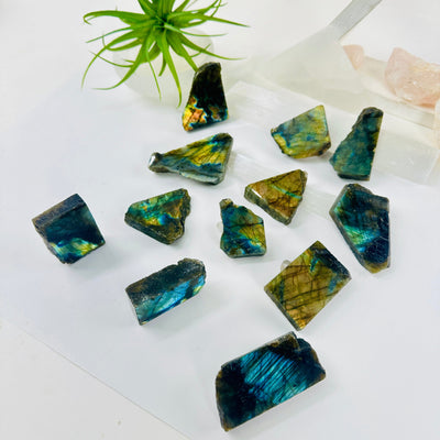 Labradorite Semi Polished Crystal Slab - YOU CHOOSE - all variants angled to show flashes