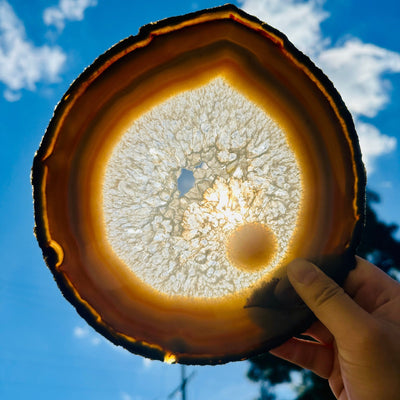 Agate Slice Set - Set of Four Agate Crystals second agate held in front of the sun backlit