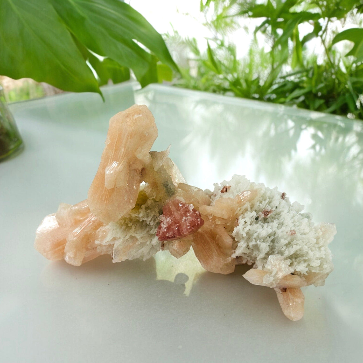 Peach and Red Stilbite Crystal Cluster on Matrix on glass surface with plants in the background