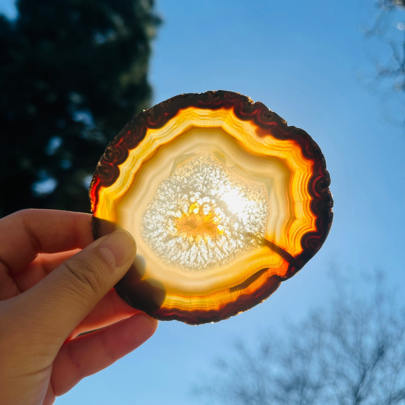 Agate Slice Set - Set of Eight Agate Crystal Coasters coaster 5 in front of sun backlit
