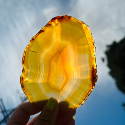 Iris Agate Slice Set - Six Agate Crystal Slices slice 3 in hand in front of sun backlit