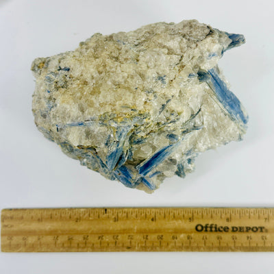 Blue Kyanite Rough Crystal Formation with ruler for size reference