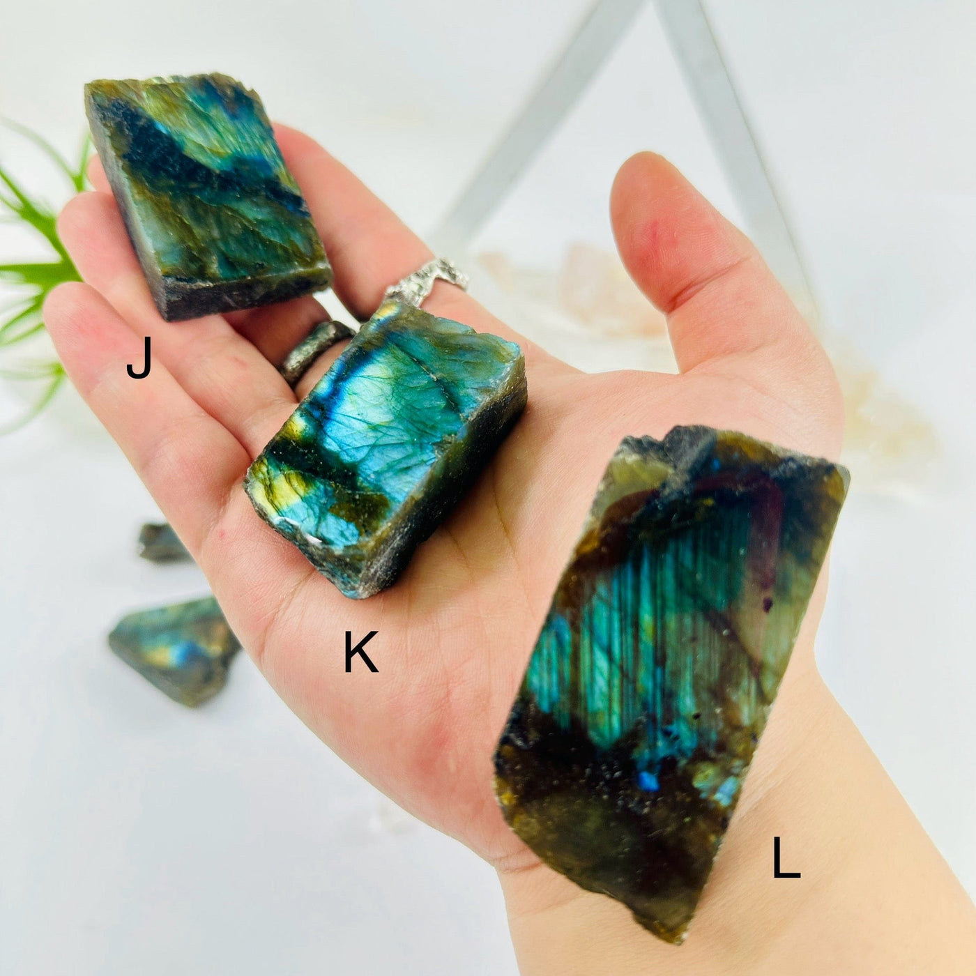 Labradorite Semi Polished Crystal Slab - YOU CHOOSE - variants J K L labeled on hand