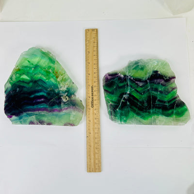 Rainbow Fluorite AA Grade Slab - Large Crystal Slab - You Choose - variants 1 2 with ruler for size reference
