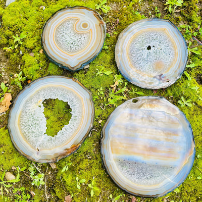 Agate Slice Set - Set of Four Agate Crystals all four agate slices on a bed of moss