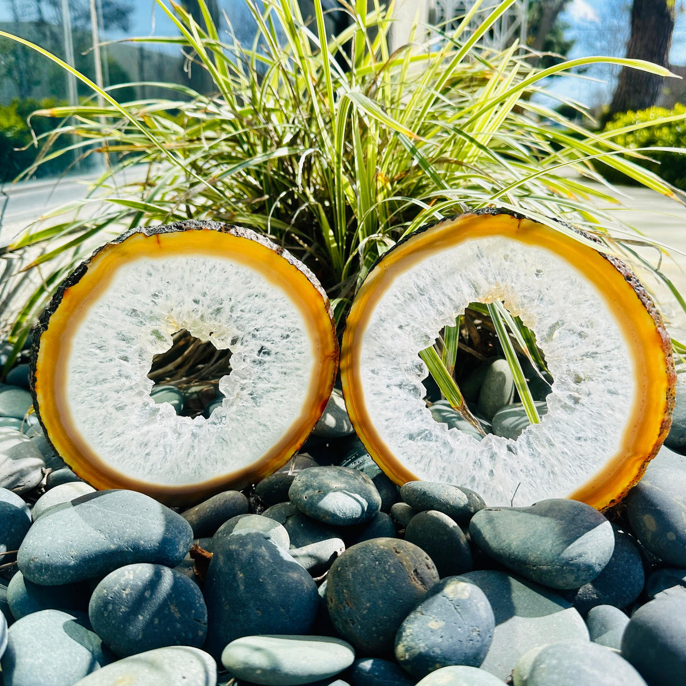 Agate Slice Set - Set of Two Agate Crystals both agates standing in rocks outside in sun backlit