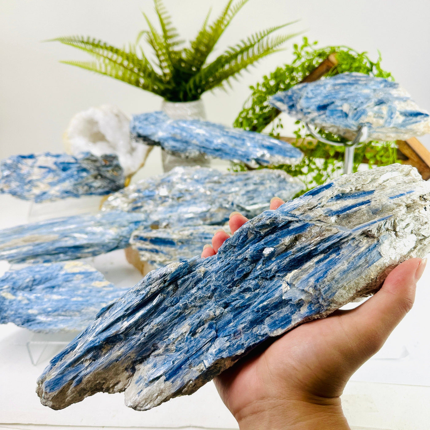 Blue Kyanite on Matrix - Rough Crystal - YOU CHOOSE variant 6 in hand with other variants in background